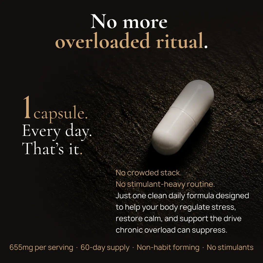 BlackAshwagandha One Capsule Daily Stress Support