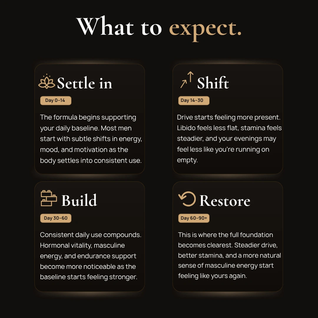 BlackMaca what-to-expect Settle Shift Build Restore