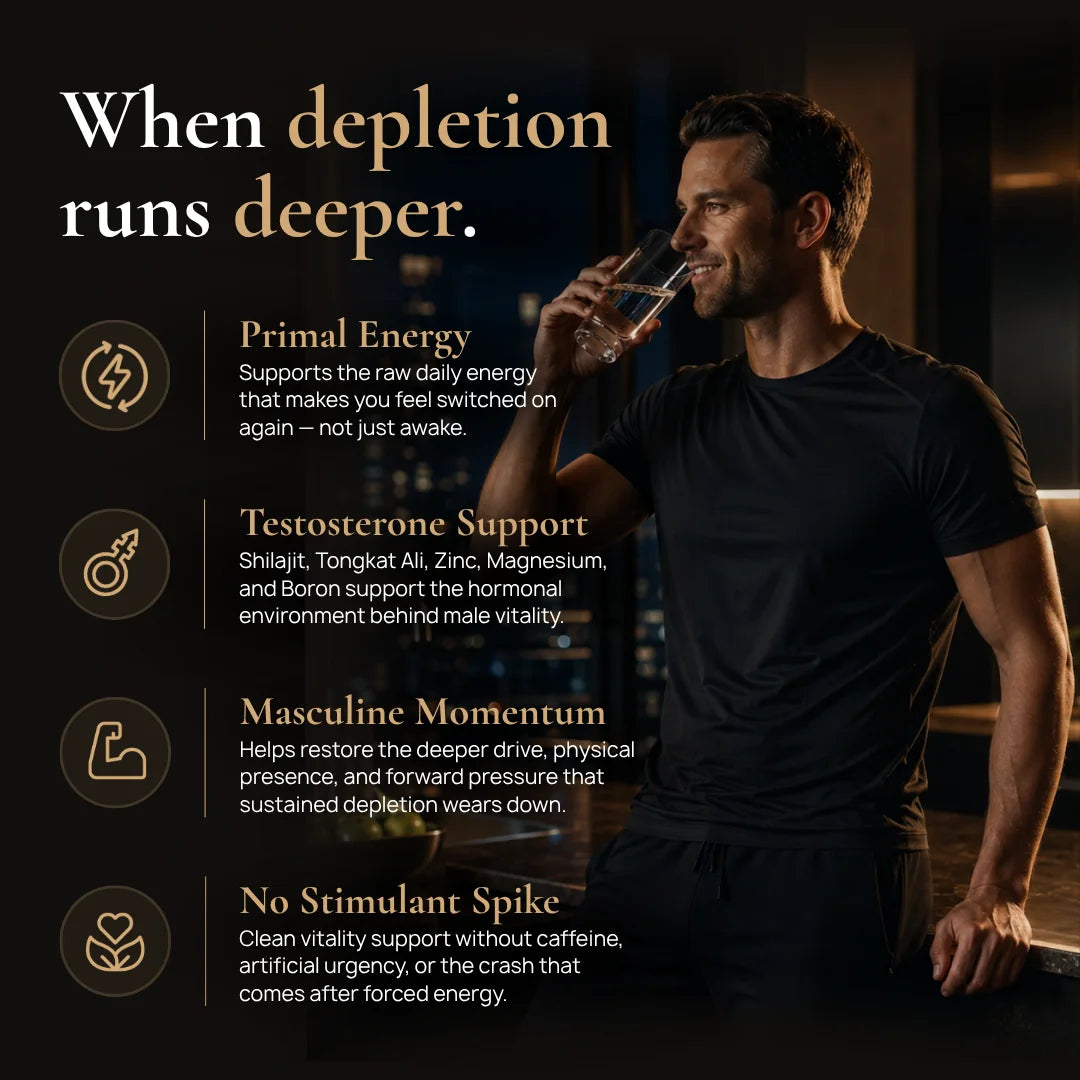 BlackShilajit Primal Energy Testosterone Support