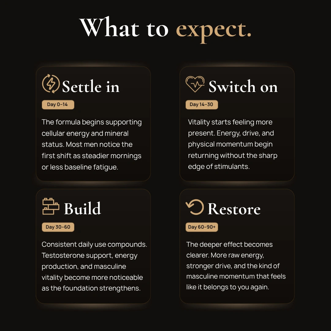 BlackShilajit what-to-expect Primal Vitality Timeline