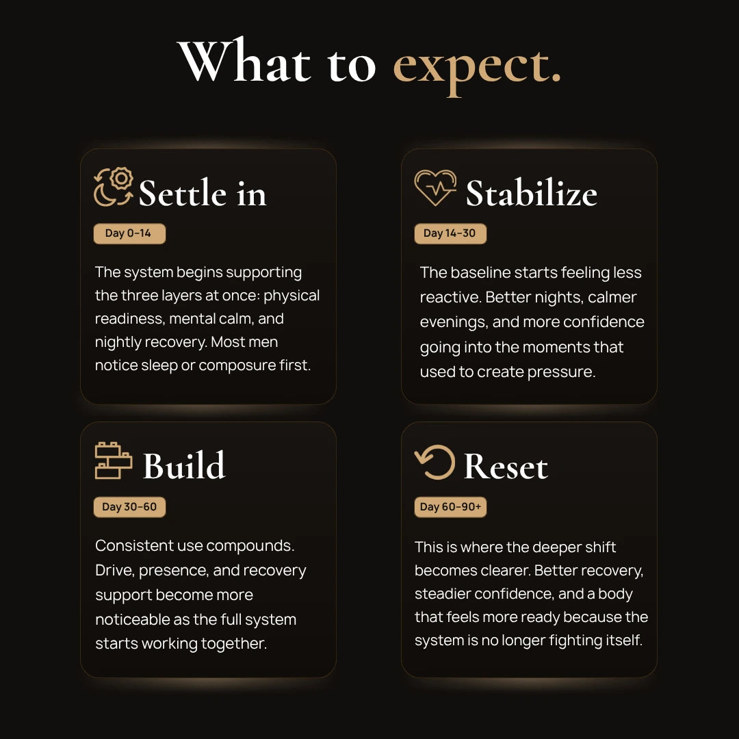 ExecutiveReset what-to-expect Performance Recovery Timeline